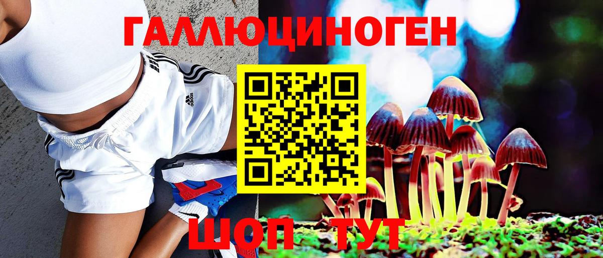 Галлюциногенные грибы Magic Shrooms Малгобек