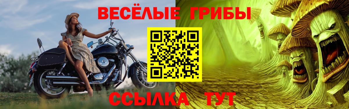Малгобек  Галлюциногенные грибы Magic Shrooms  Вход с VPN 